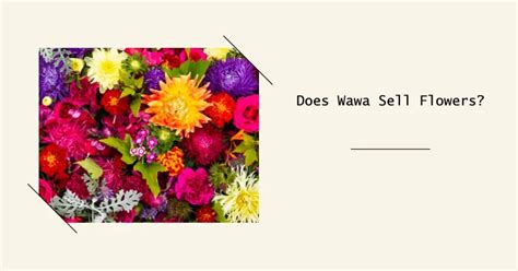 Does wawa sell flowers. Things To Know About Does wawa sell flowers. 