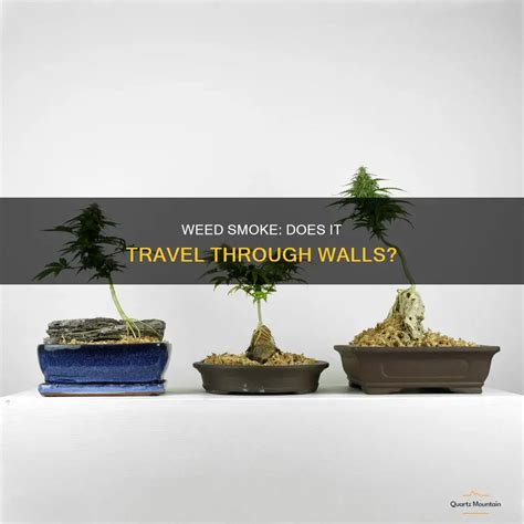 Does weed smoke go through apartment walls. .  <a href=https://xvonix.com/kxcpe...