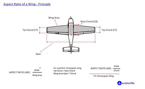 Does wing loading decrease with increasing body size