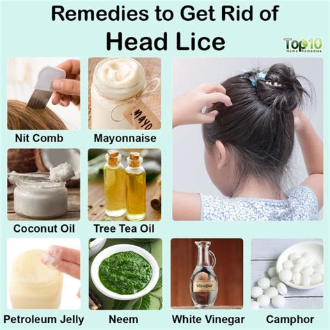 Does your child have head lice? How to get rid of it for good