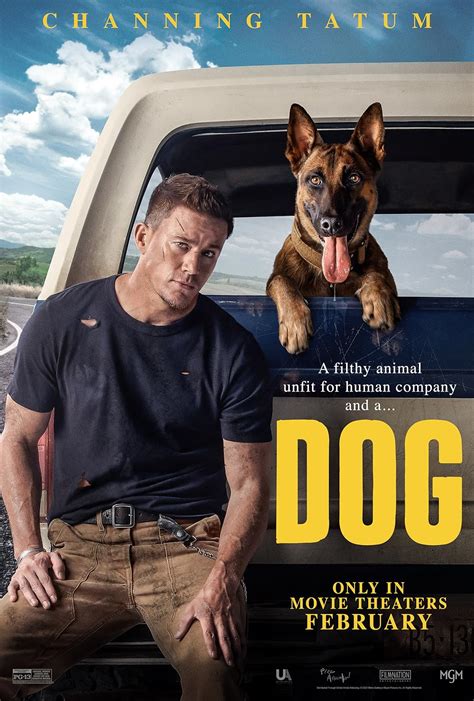 Dog 2022 film. Things To Know About Dog 2022 film. 