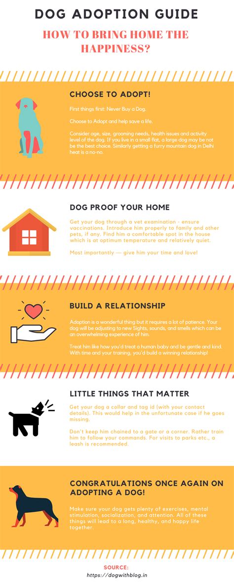 Dog Adoption Guide What you need to know