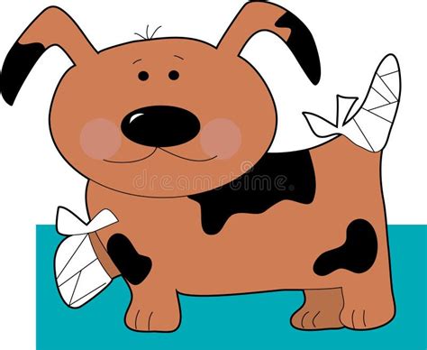 Dog Bandage Illustrations & Vectors - Dreamstime