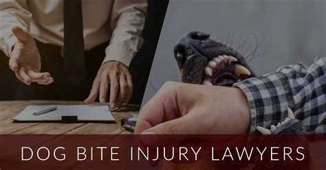 Dog Bite Lawyer - Injured? Let