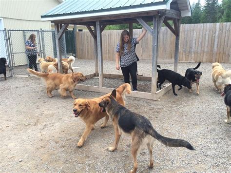 Dog Boarding - Watch Dogs in Your Home - Bothell, WA