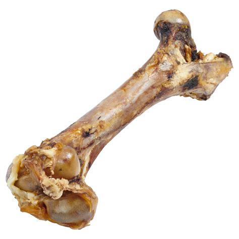 Dog Bones for sale eBay