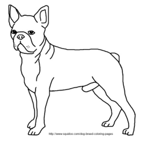 Dog Breed Coloring Pages HubPages