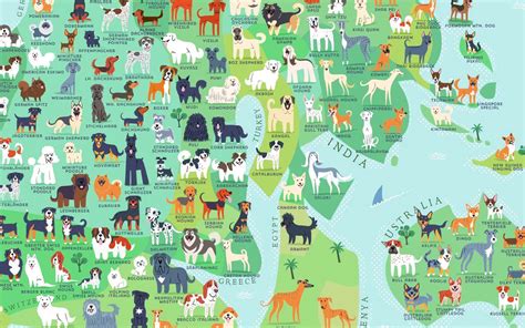 Dog Breeds: Where Do They Come From? - Oakland Veterinary …