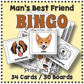 Dog Breeds Bingo Memory Matching Card Game Activity By Drag Drop Learning
