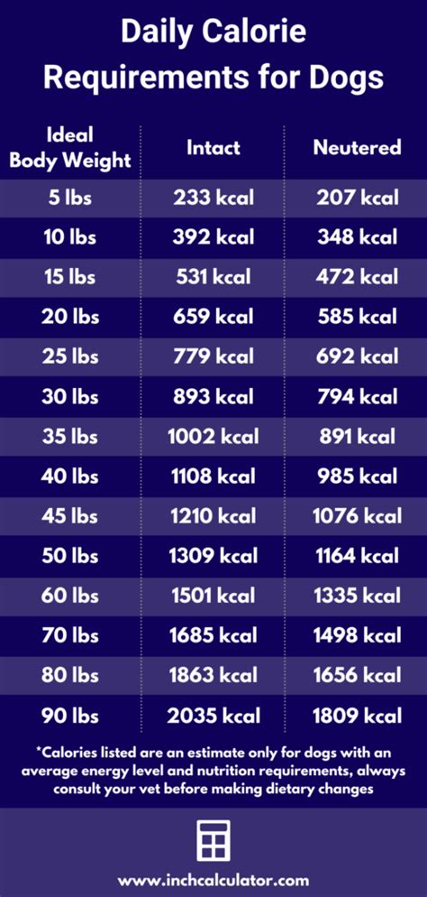 Dog Calorie Calculator: How Many Calories Should My Dog Eat?