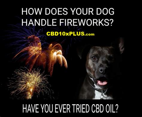 Dog Cbd For Fireworks