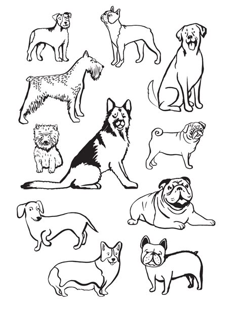 Dog Coloring Names