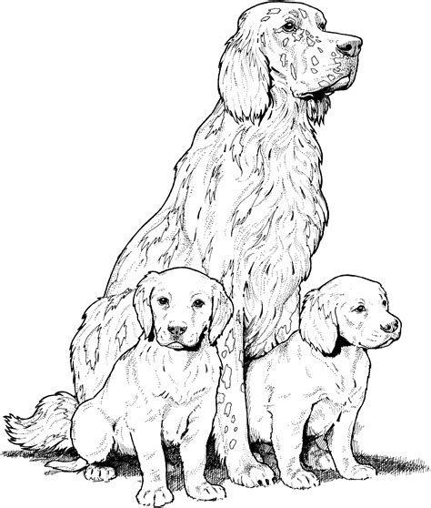 General Lee Coloring Pages