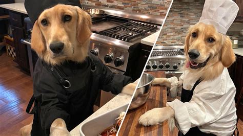 Dog Cook Onlyfans Leak