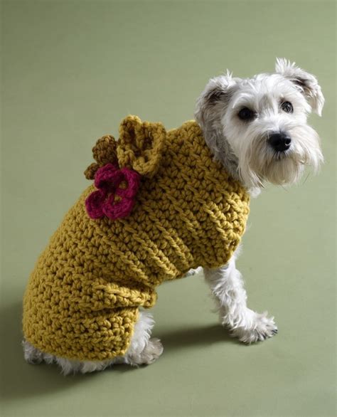 Dog Crochet Sweater Pattern Free