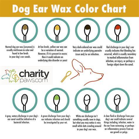 Dog Ear Wax Color Chart Find Out What Each Color Means