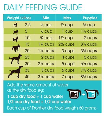 Dog Food Feeding Guide