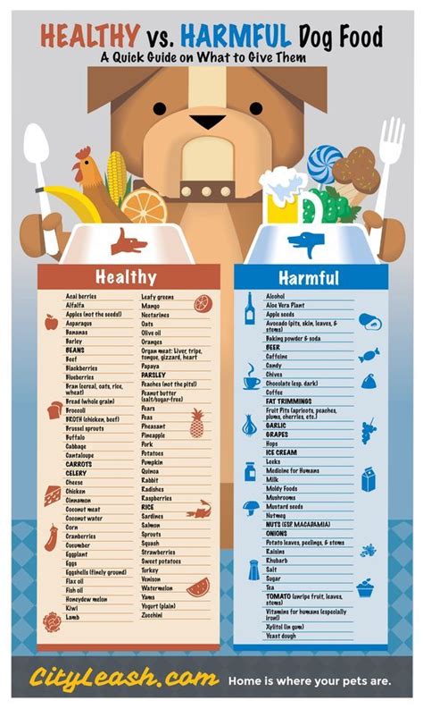 Dog Food Safety