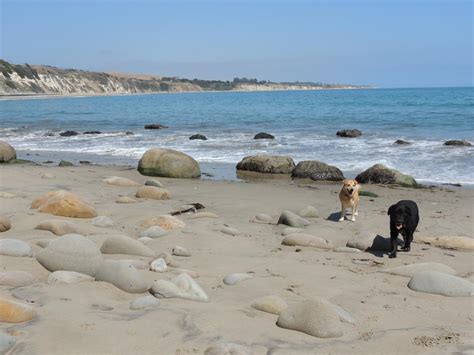 Dog Friendly Beaches in Eureka, CA - BringFido