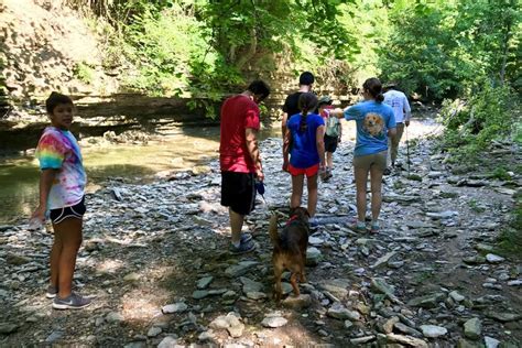 Dog Friendly Hiking Trails in Zionsville, IN - BringFido