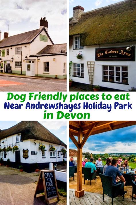 Dog Friendly places to eat in South Devon