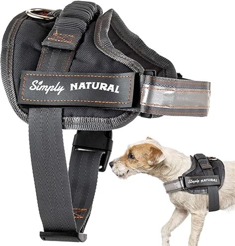 Dog Harness (L) : Amazon.co.uk: Pet Supplies