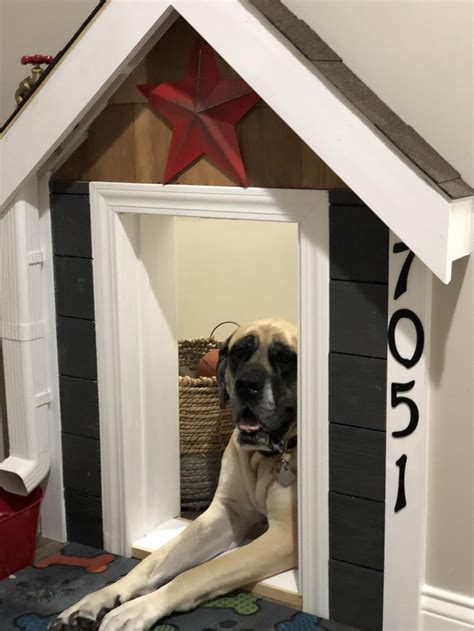 Dog House Indoor With Stairs - Etsy