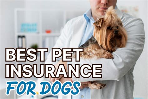 Dog Insurance Plans from Pet Insurance Review