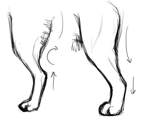 Dog Leg Drawing