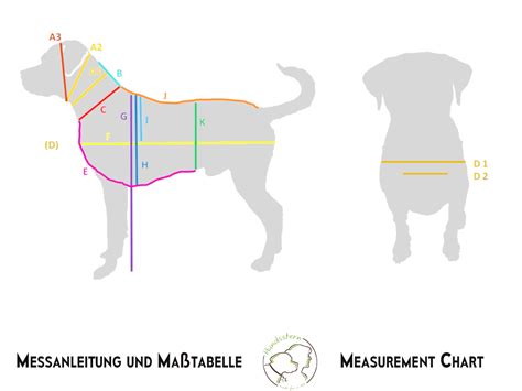 Dog Measurement Chart