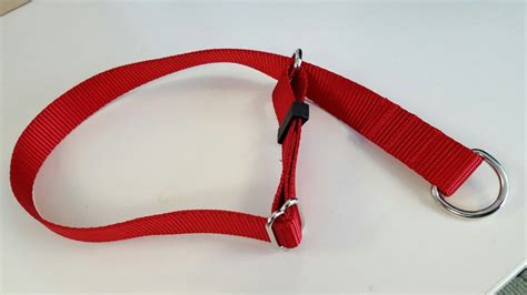 Dog Nylon Choke Collars - Etsy