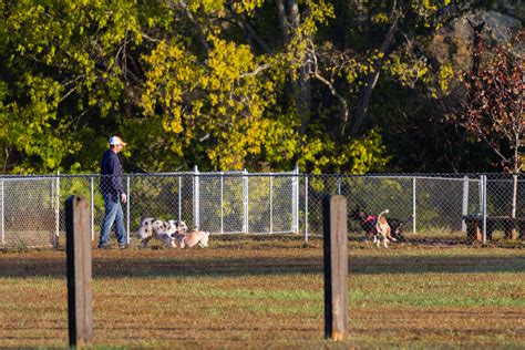 Dog Parks Albemarle County, VA