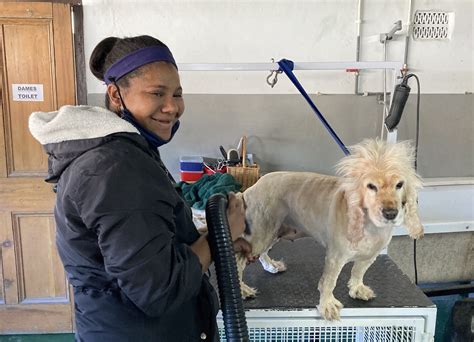 Dog Parlour in Kempton Park - Think Local