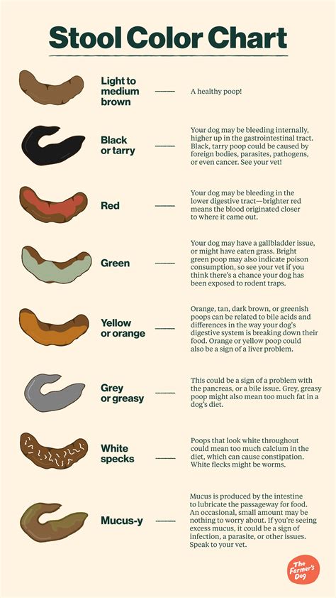 Dog Poop Color Chart: What It All Means - Top Dog Tips - Dog …