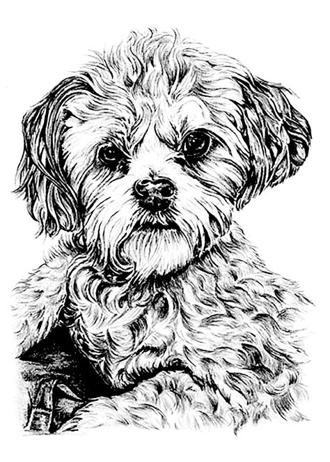 Dog Printable Pictures