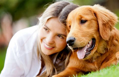 Dog Psychology Course, Canine Psychology Training and …