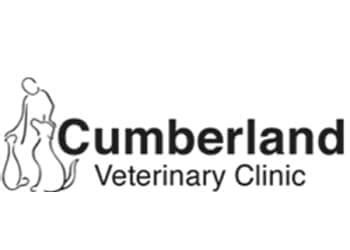 Dog Services in Saskatoon, Saskatchewan - Cumberland Veterinary Clinic