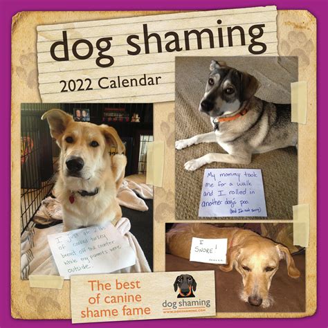 Dog Shaming Calendar 2022