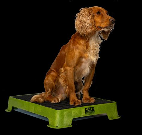 Dog Sports Competition - Flyball Equipment - Page 1 - K9 PRO