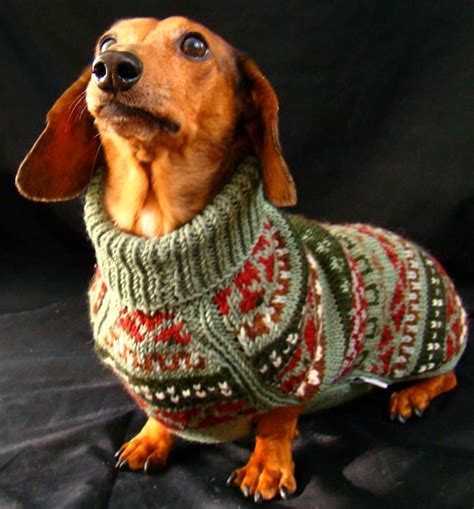 Dog Sweaters for Men for sale eBay