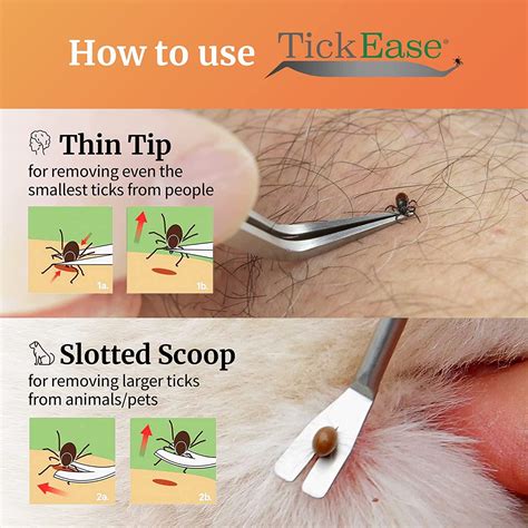 Dog Tick Remover - Dual Tipped Tick Remover Tweezers Hooks …