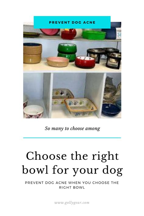 Dog Tip Tuesday – Prevent dog acne with the right bowls