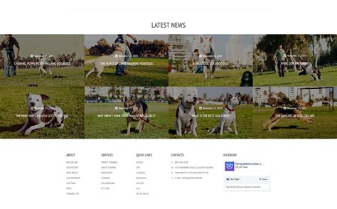 Dog Training Center HTML Template