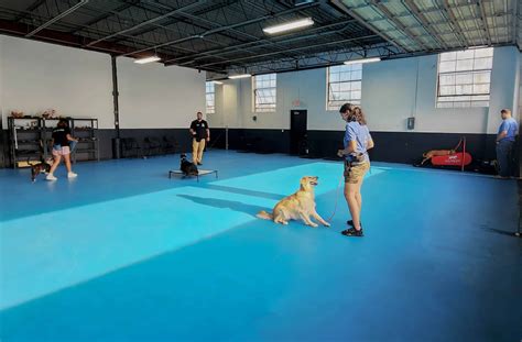 Dog Training Facilities in East Butler, PA - care.com