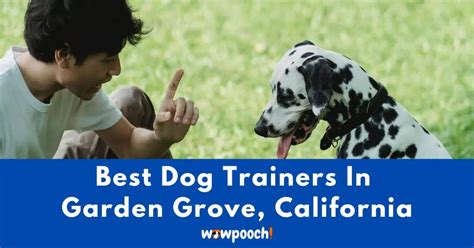 Dog Training in Beech Grove, IN - dog training near me - Beech …