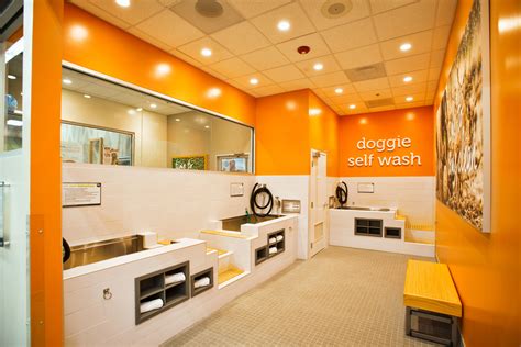 Dog Wash High-Tech Dog Washing Facility Pets on Point