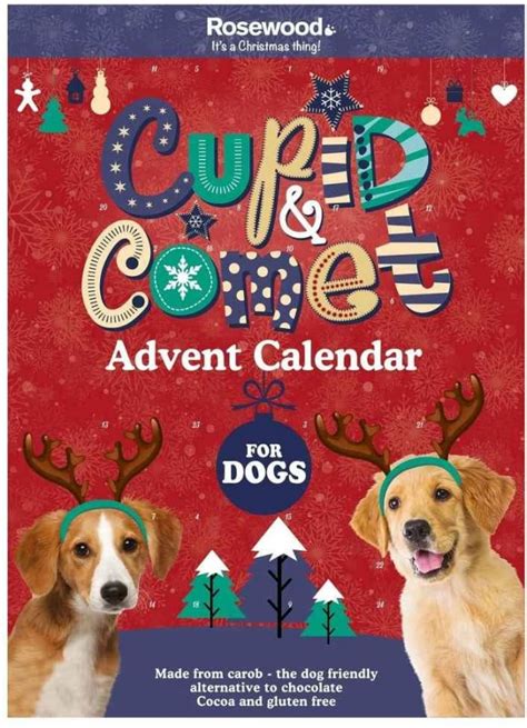 Dog advent calendars 2023 Complete overview TOP list