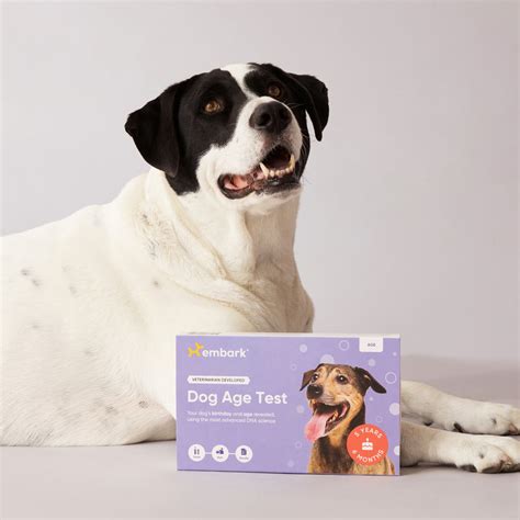 Dog age test. The DNA My Dog Canine Genetic Age Test determines the tested dog’s biological age by measuring its telomeres. These telomeres, which are caps at the end of the chromosomes, shorten with age. The length of a dog’s telomeres is then matched with thousands of similar dogs to establish its true genetic age. To identify the dog’s breed ... 