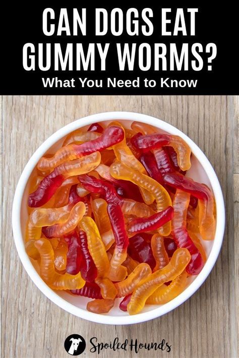 Rotten Gummy Worms are sweetened with an innovative new ingredient called allulose! Allulose is a naturally occurring sweetener found in foods like raisins and figs. Allulose tastes sweet but doesn't act like sugar in your body, which means no crazy blood sugar spikes! 4.6. 88% would recommend these products.. 