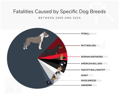 Dog attacks by breed. Its weight differs from 130 to 200 lbs. Its height ranges from 24.5 to 32 inches. 4. Rottweilers. Image: instagram.com, @roger.skwarek. Source: Instagram. The Rottweilers are among the most dangerous dog breeds in the world. They have strong genetic herding and guarding instincts. It is a powerful dog, which if neglected, can become one of the ... 